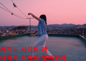 카지노 사이트