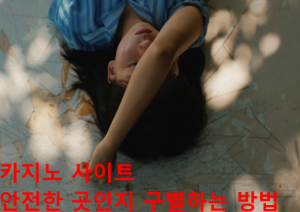 카지노 사이트