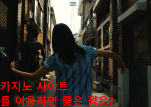 카지노 사이트